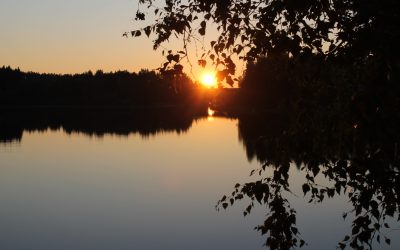 Empatia on taitolaji ja myötätunnolle on olemassa kieli!